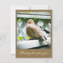 Search for doves postcards Greetings