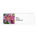 Search for pink lilies return address labels Floral