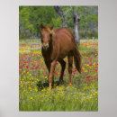 Search for quarter posters Farm