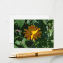 Search for herb invitations Botanical