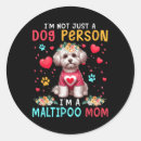 Search for maltipoo stickers Cupid
