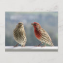 Search for flirt postcards Cute