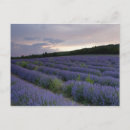 Search for fields postcards Clouds