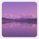 Search for nps stickers Reflection