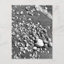 Search for seashell photography postcards Beach