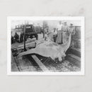Search for caught postcards States