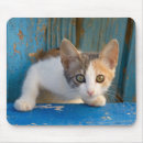 Search for tortoiseshell mousepads Cute