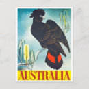 Search for australia Illustration