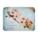 Search for cherry tree magnets Flowers