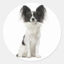 Search for papillon stickers Dog