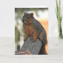 Search for just checking in cards Friendship