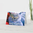 Search for 60th cat birthday cards Cats
