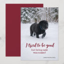 Search for santa paws christmas cards Naughty or nice
