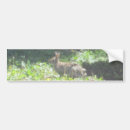 Search for outdoor bumper stickers Wildlife