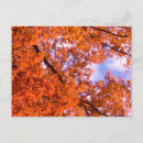 Search for leaf note postcards Green