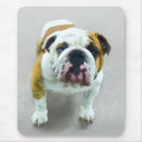 Search for puppy mousepads Red