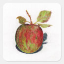 Search for orchard fruit stickers Green