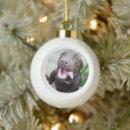 Search for labrador christmas decor Funny
