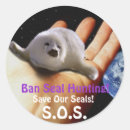Search for harp envelope seals Animal rights