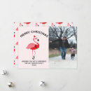 Search for flamingo christmas cards Bird