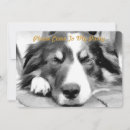 Search for border collies invitations Black and white