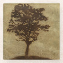 Search for bronze coasters Botanical