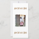 Search for pig cards Farm animals