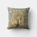 Search for talking cushions Humour