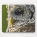 Search for barred owl electronics Usa