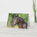 Search for mustang cards Animal