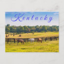 Search for farm postcards Countryside