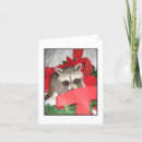 Search for raccoon christmas cards Wildlife