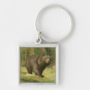 Search for step key rings Nature