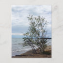 Search for superiority postcards Great lakes