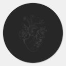 Search for cardiac nurse stickers Cardiovascular anatomy