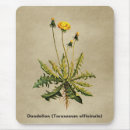 Search for old paper mousepads Vintage