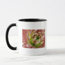 Search for full frame mugs Freshness