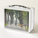 Search for husky lunch boxes Alaskan malamute