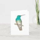 Search for white bird cards Hummingbird