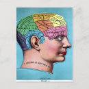 Search for phrenology postcards Medical