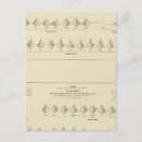 Search for statist postcards White