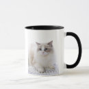 Search for cat computer mugs Cute