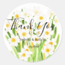 Search for white daffodil stickers Nature