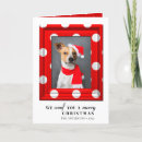 Search for pet photo christmas cards Simple