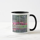 Search for natural world mugs North america