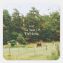Search for year of the horse stickers 2026