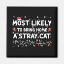 Search for stray magnets Santa