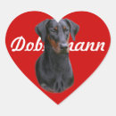 Search for dog ear stickers Dogs