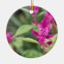 Search for magenta christmas tree decorations Pink
