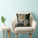Search for grey tabby cat cushions Kitten
